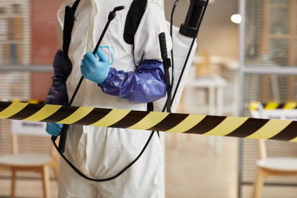 Professional Odor Removal technician working in Litchfield, MI