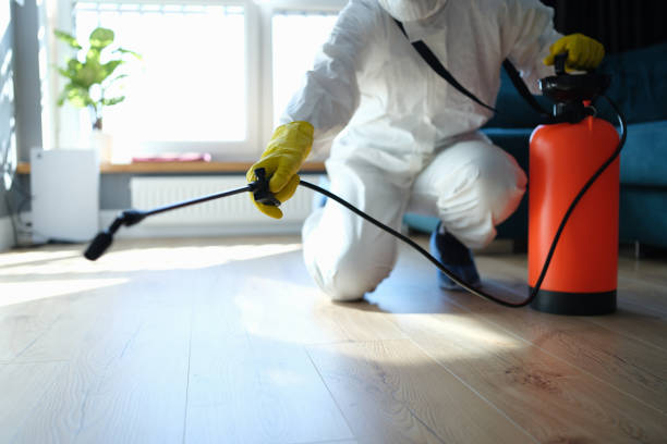 Reliable Odor Removal contractor in Litchfield, MI by Trauma Clean Pros
